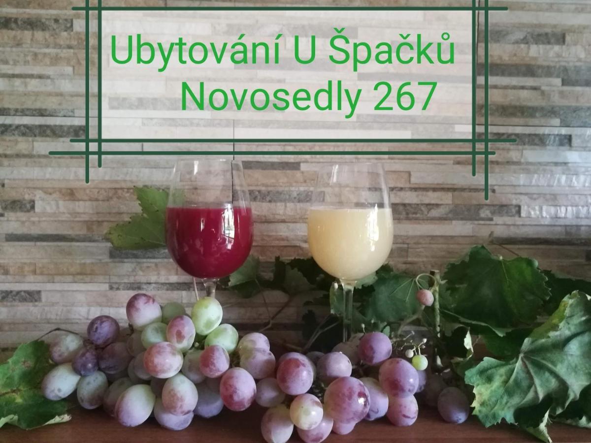 Ubytovani U Spacku Palava Novosedly  외부 사진
