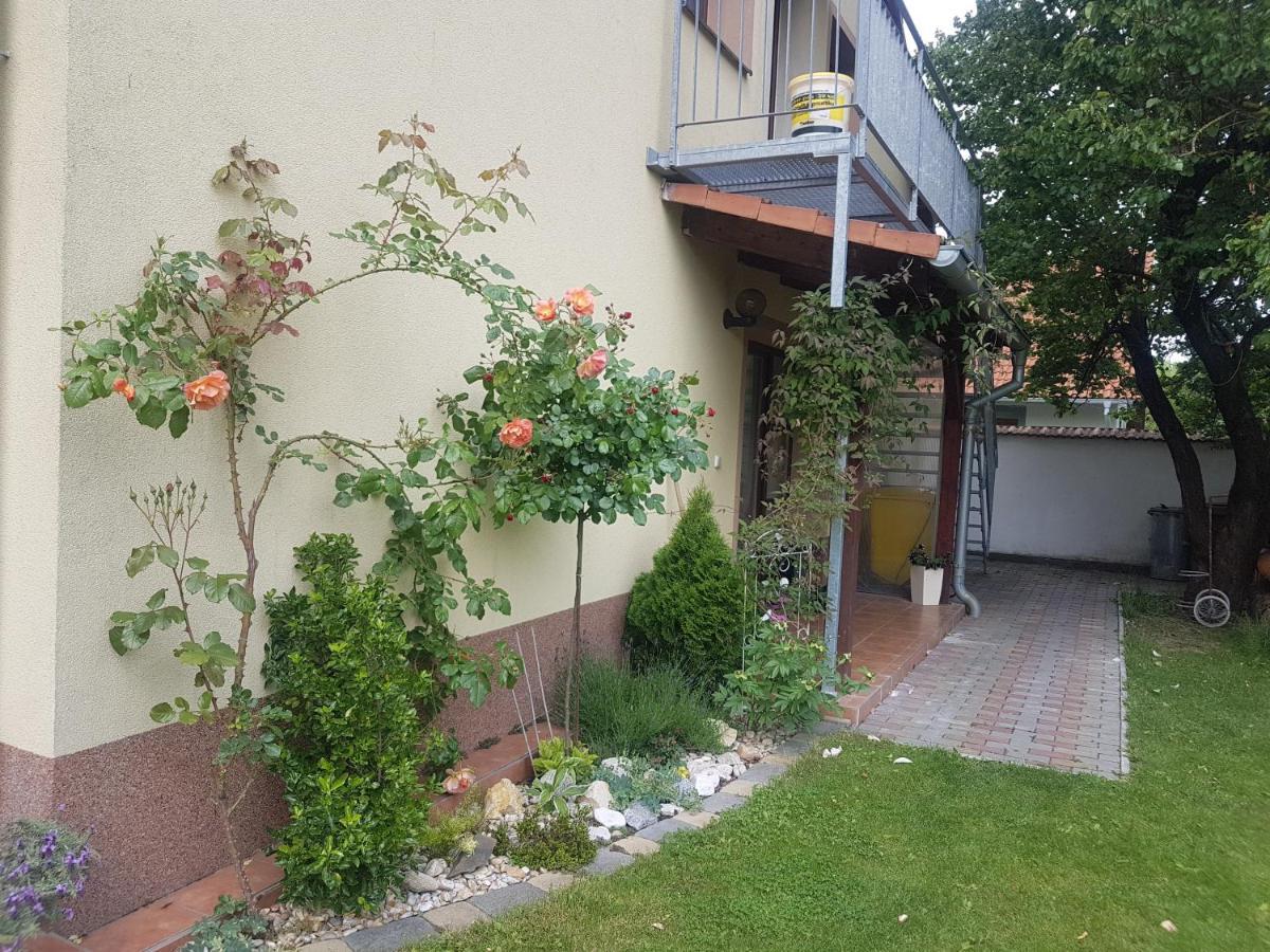 Ubytovani U Spacku Palava Novosedly  외부 사진