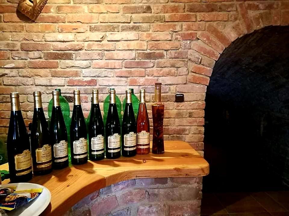 Ubytovani U Spacku Palava Novosedly  외부 사진