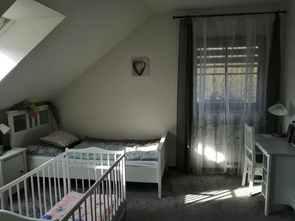 Ubytovani U Spacku Palava Novosedly  외부 사진